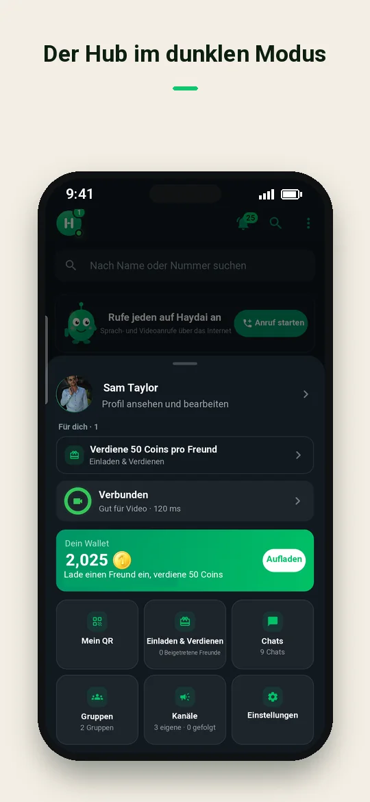 Der Hub im dunklen Modus — Haydai