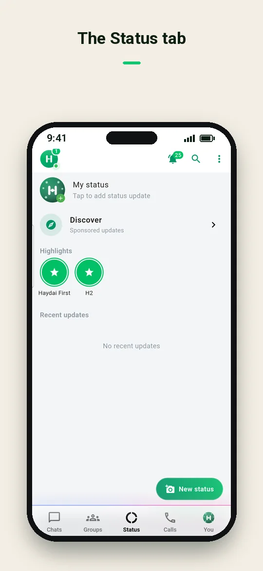 The Status tab — Haydai