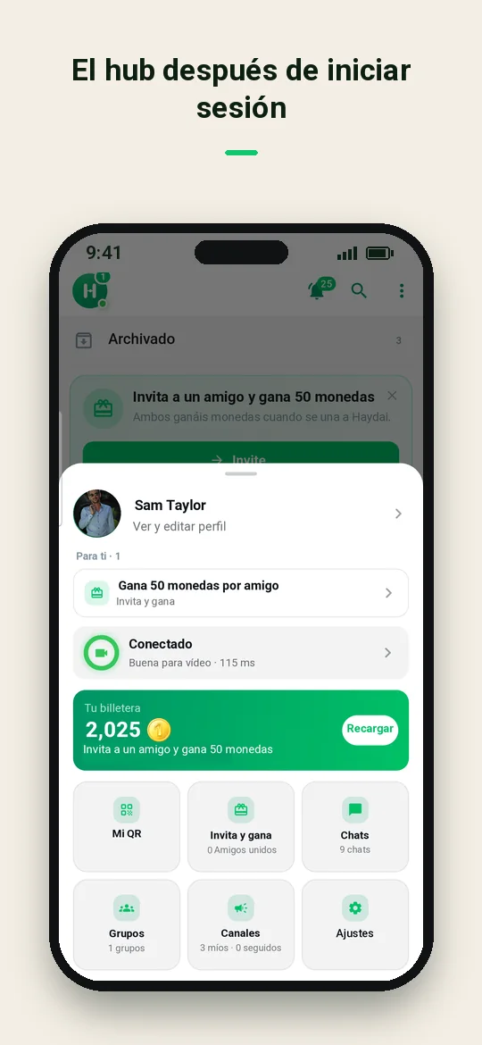 El hub después de iniciar sesión — Haydai