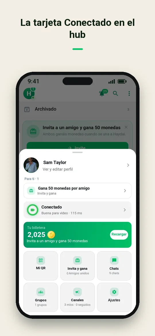 La tarjeta Conectado en el hub — Haydai