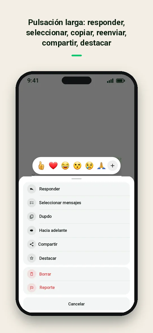 Pulsación larga: responder, seleccionar, copiar, reenviar, compartir, destacar — Haydai