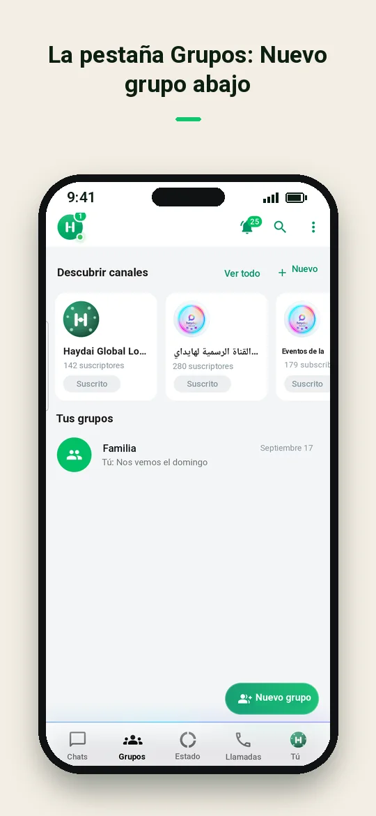La pestaña Grupos: Nuevo grupo abajo — Haydai