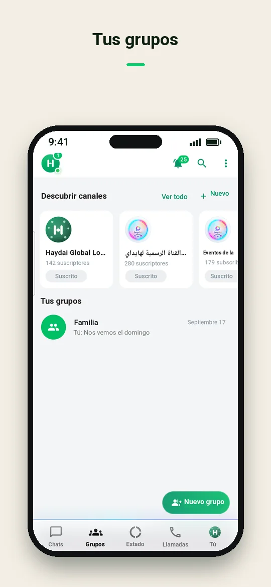 Tus grupos — Haydai
