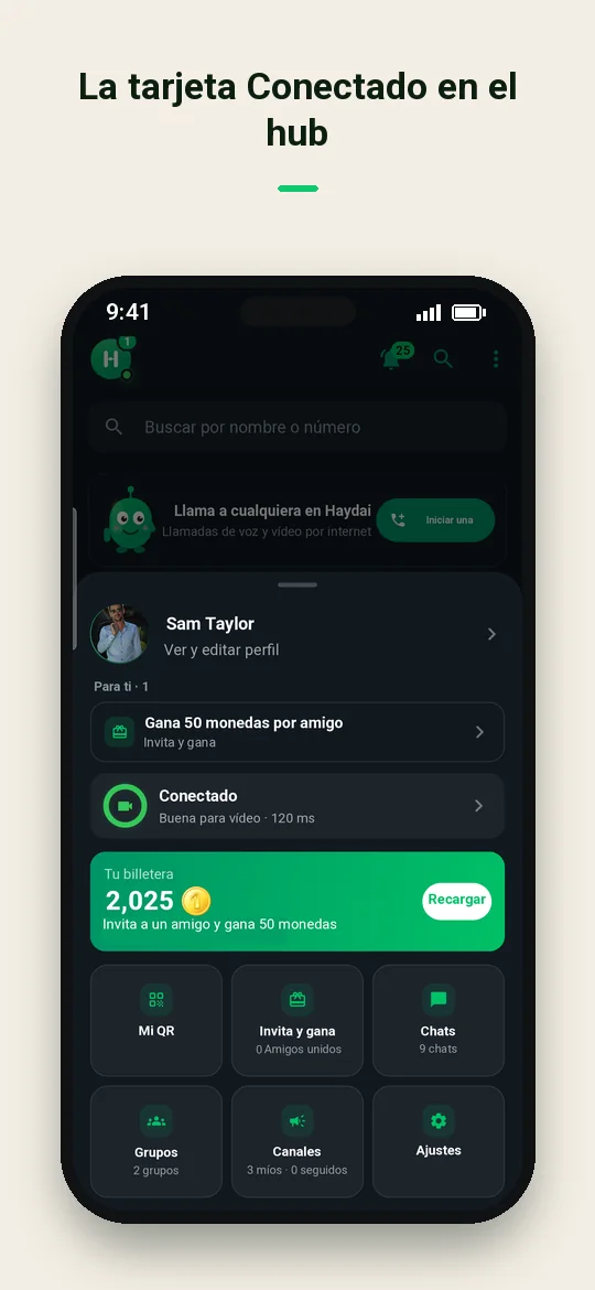 La tarjeta Conectado en el hub — Haydai