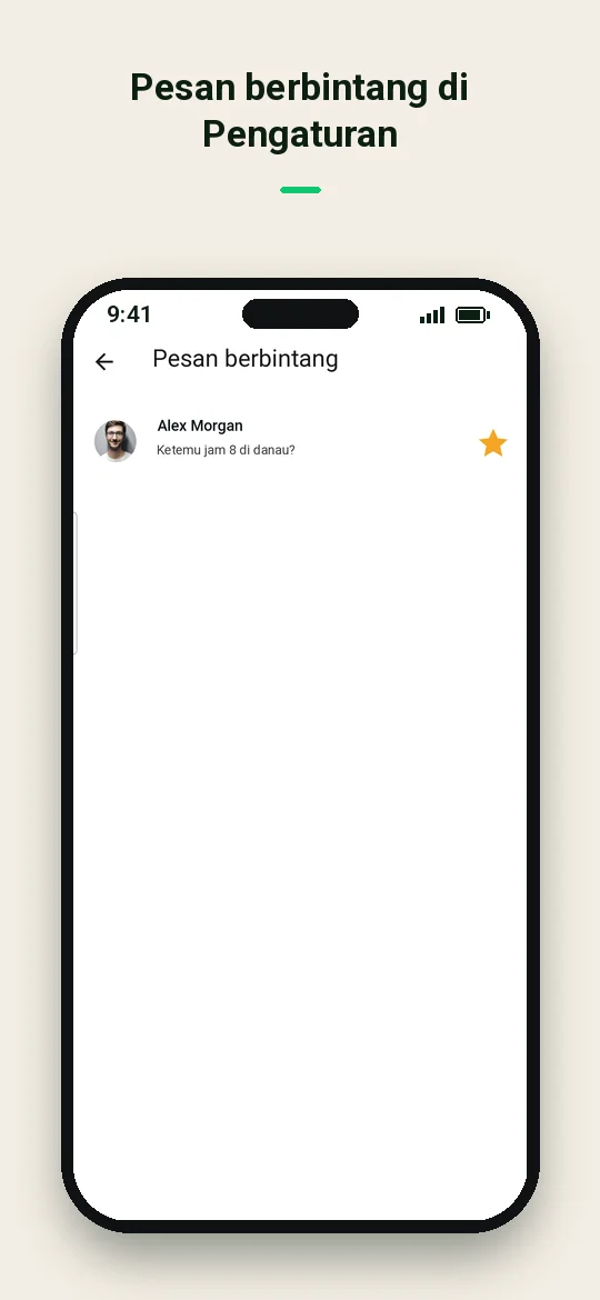 Pesan berbintang di Pengaturan — Haydai