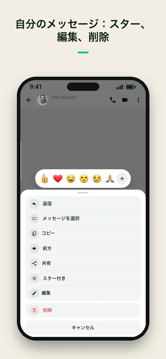 自分のメッセージ：スター、編集、削除 — Haydai