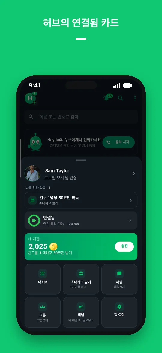 허브의 연결됨 카드 — Haydai