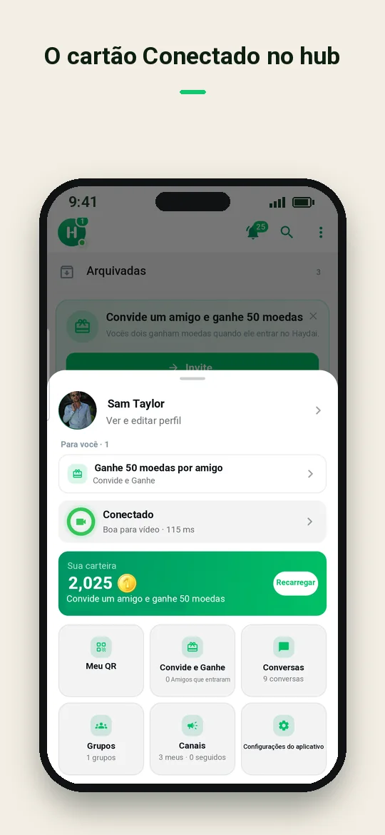 O cartão Conectado no hub — Haydai