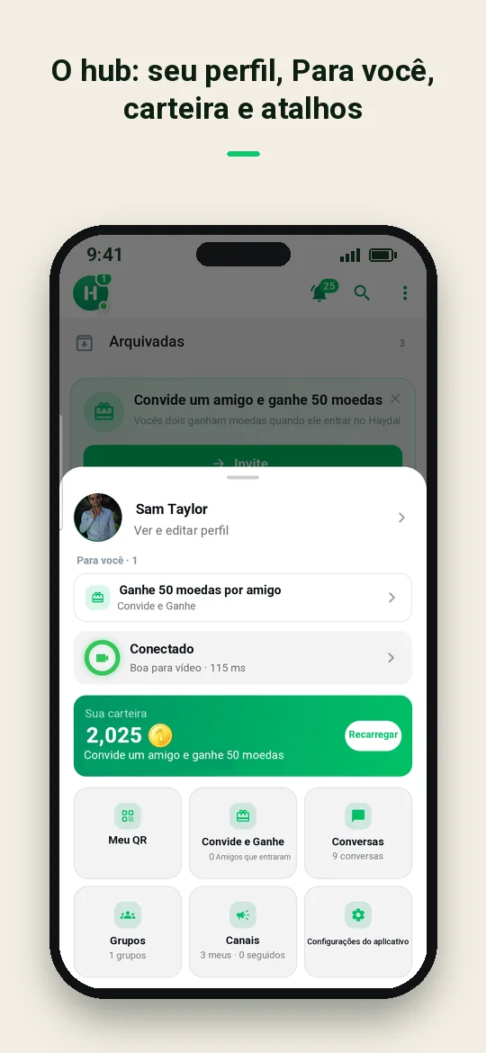 O hub: seu perfil, Para você, carteira e atalhos — Haydai