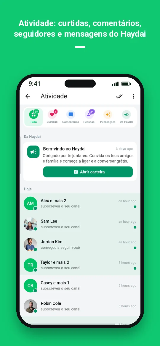 Atividade: curtidas, comentários, seguidores e mensagens do Haydai — Haydai
