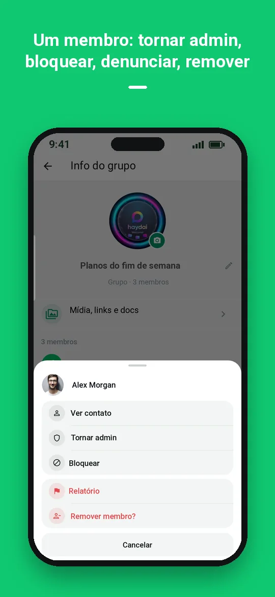 Um membro: tornar admin, bloquear, denunciar, remover — Haydai