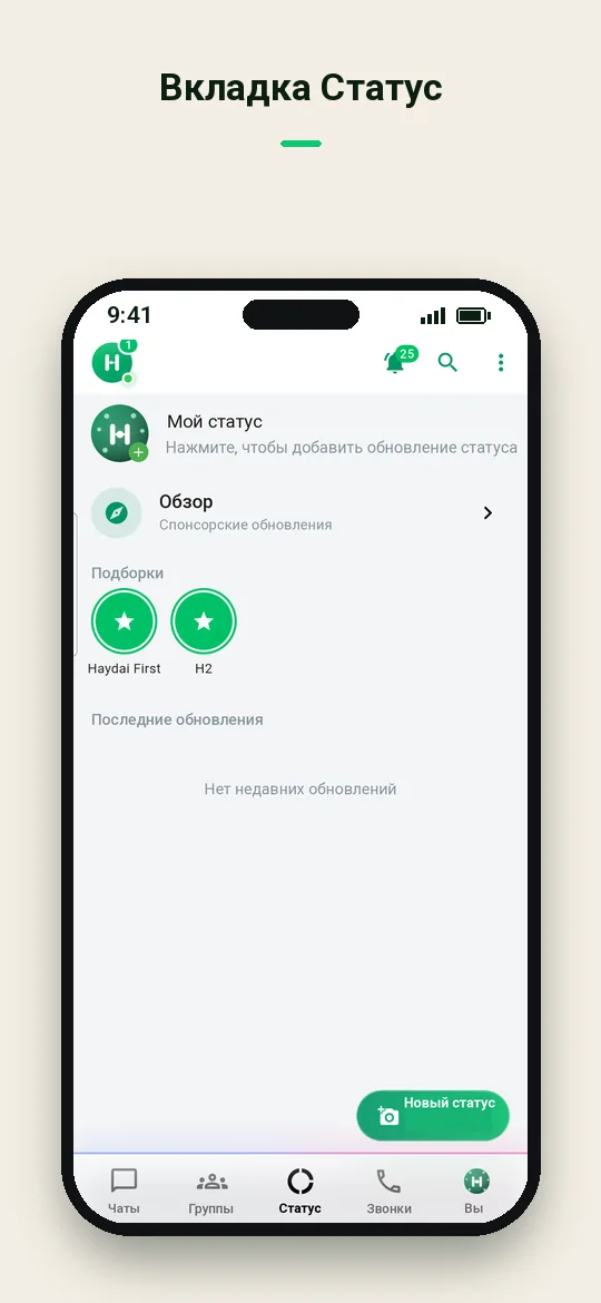 Вкладка Статус — Haydai