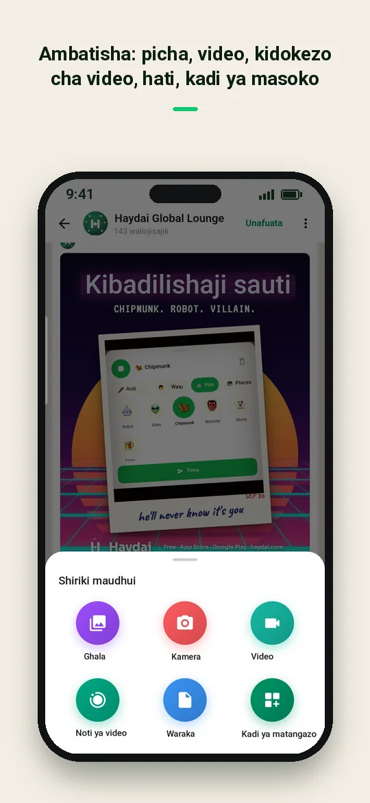 Ambatisha: picha, video, kidokezo cha video, hati, kadi ya masoko — Haydai