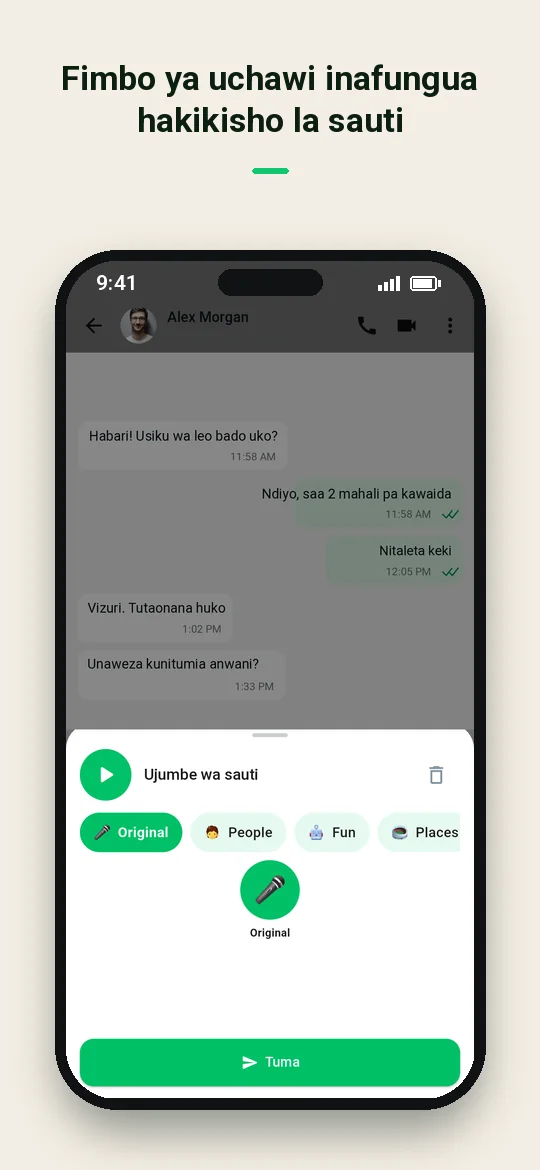Fimbo ya uchawi inafungua hakikisho la sauti — Haydai