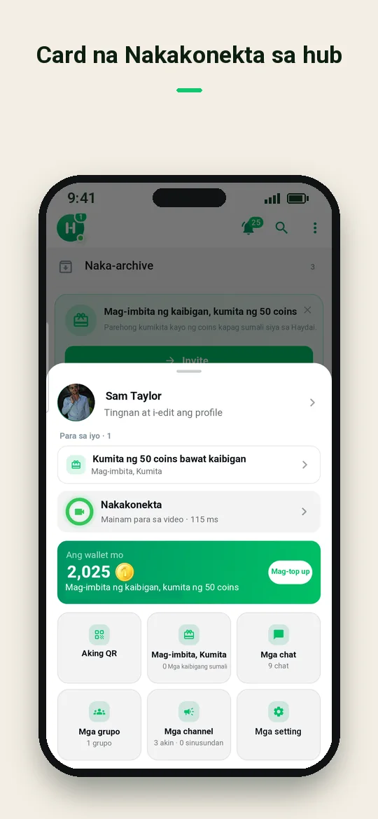 Card na Nakakonekta sa hub — Haydai