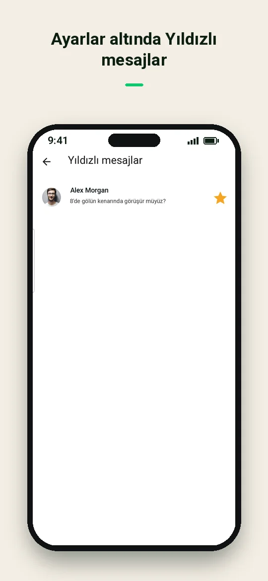 Ayarlar altında Yıldızlı mesajlar — Haydai