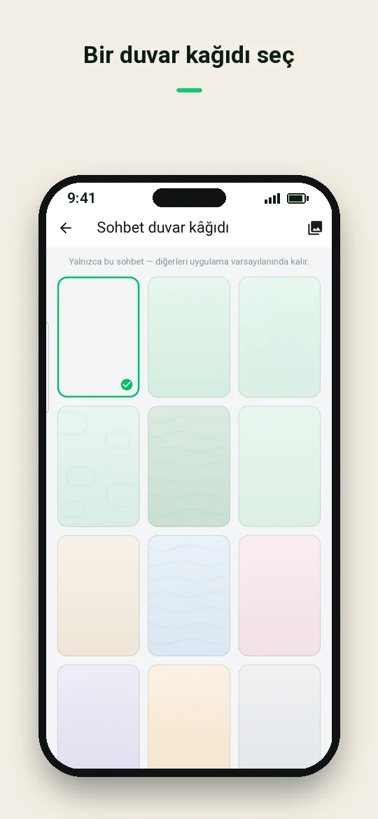 Bir duvar kağıdı seç — Haydai
