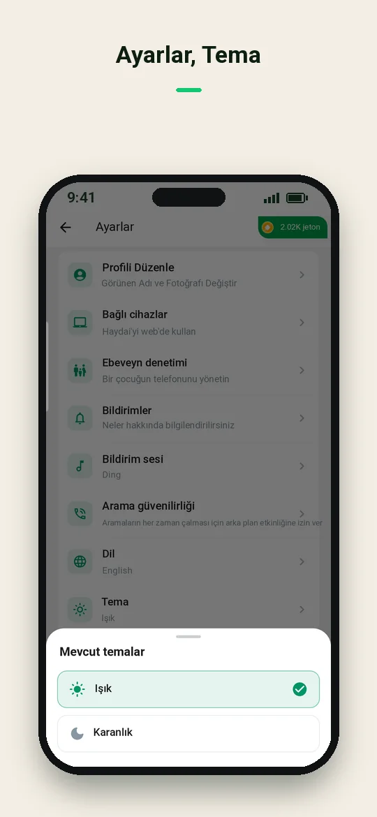 Ayarlar, Tema — Haydai