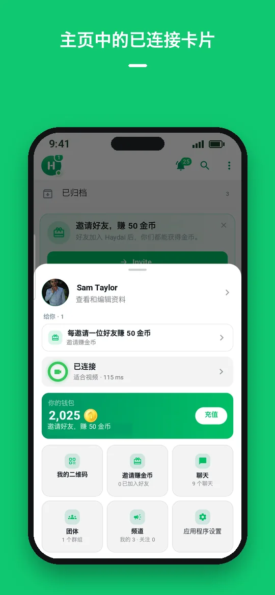 主页中的已连接卡片 — Haydai