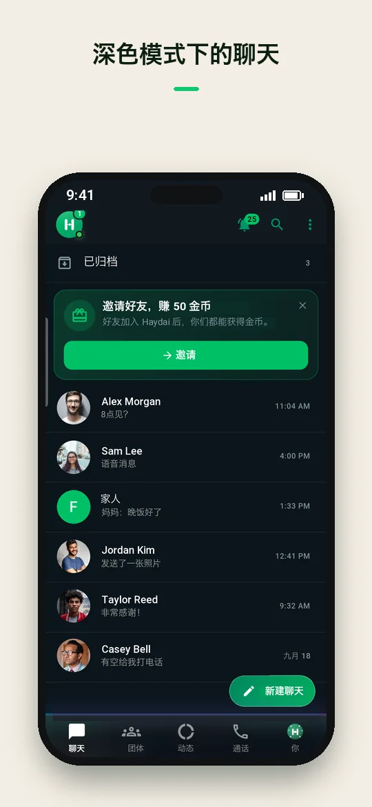 深色模式下的聊天 — Haydai